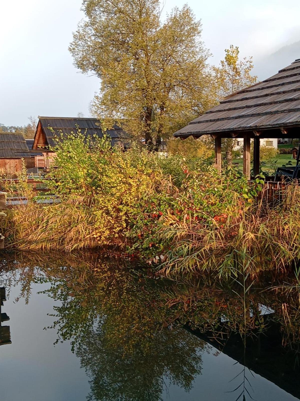 Garten Seeapartments Kaerntnerhof Hundefreundlich Weissensee Exteriér fotografie