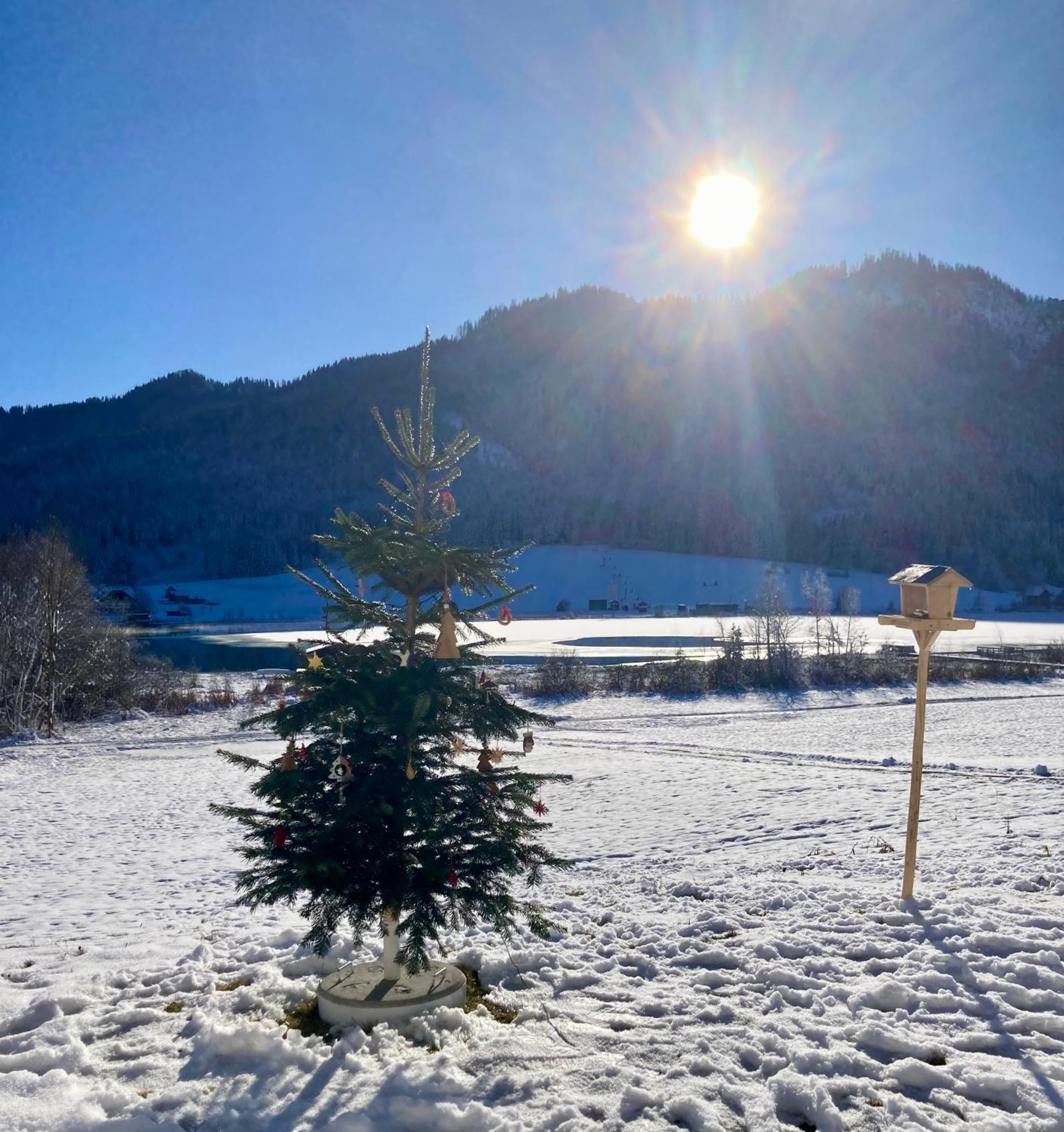 Garten Seeapartments Kaerntnerhof Hundefreundlich Weissensee Exteriér fotografie